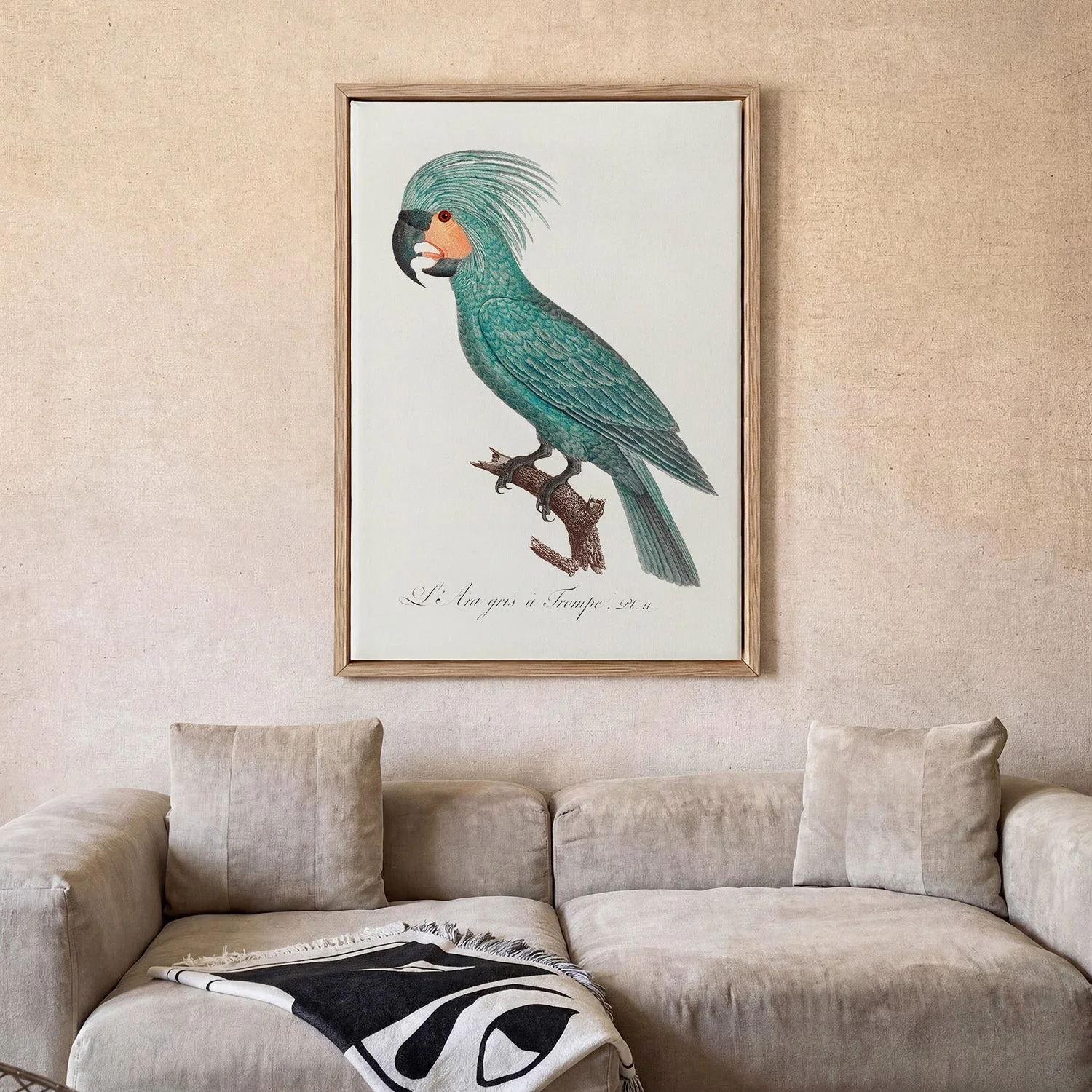 African Grey Parrot Animal Print - Image 2