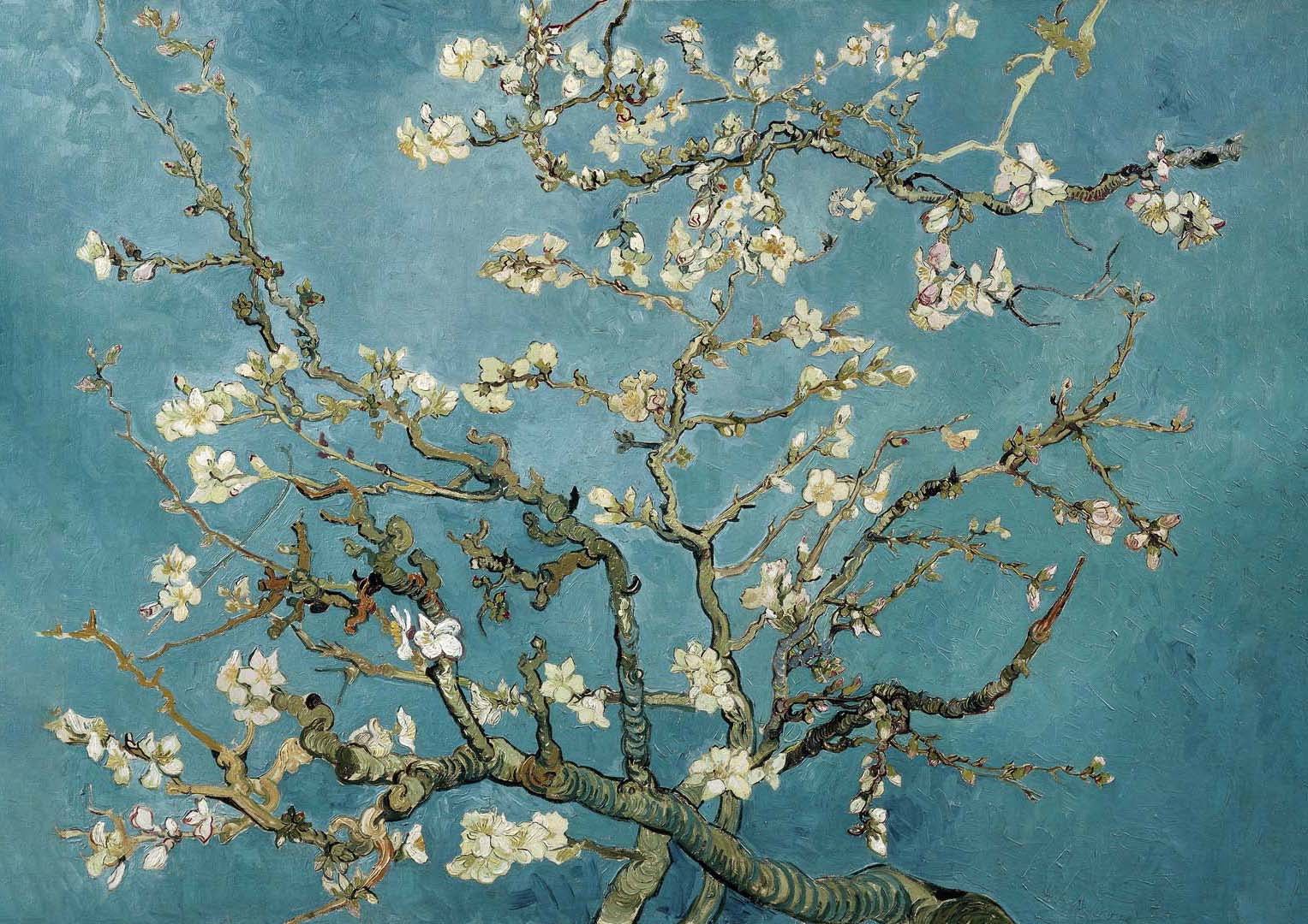 Almond Blossom by Van Gogh - Image 8