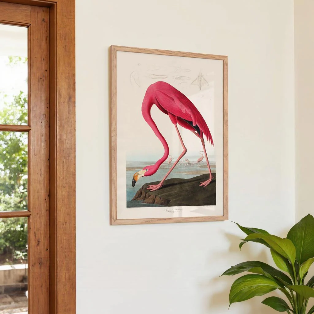 American Pink Flamingo Animal Print - Image 4