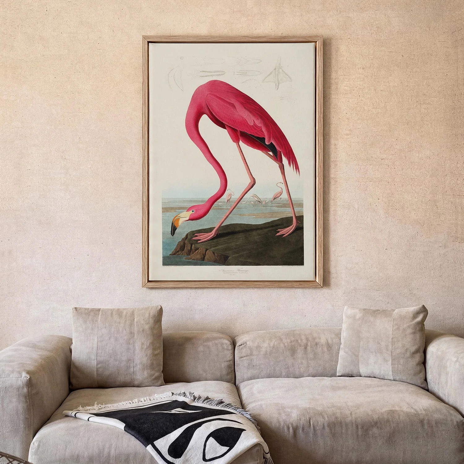 American Pink Flamingo Animal Print - Image 2
