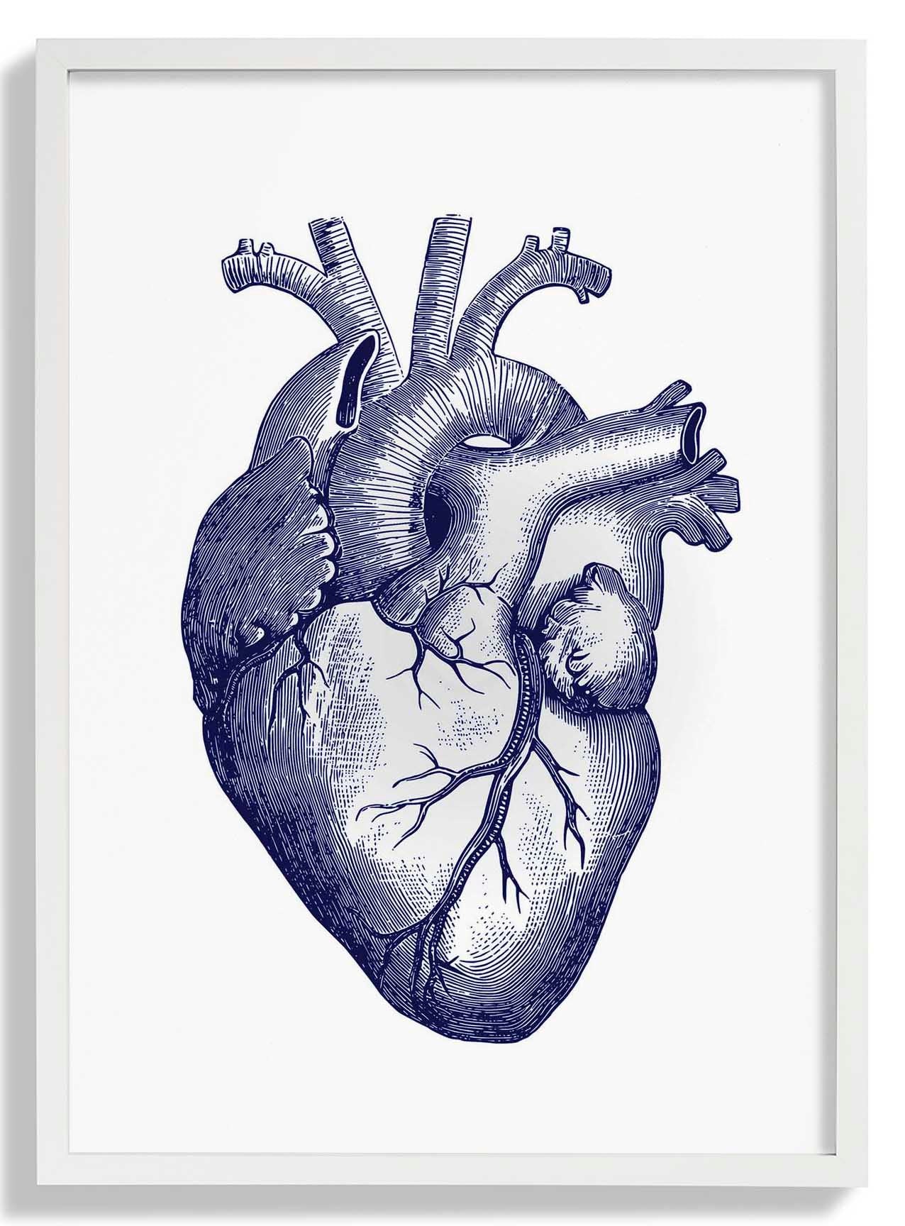 Blue Heart - Image 5