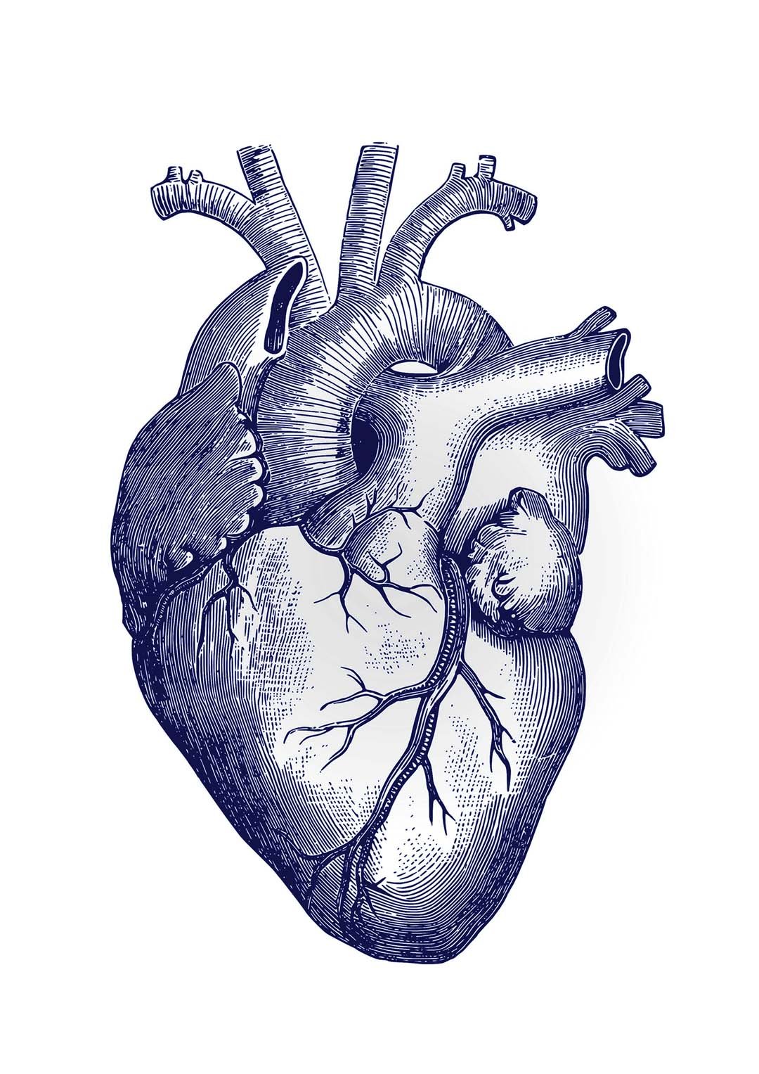 Blue Heart - Image 8