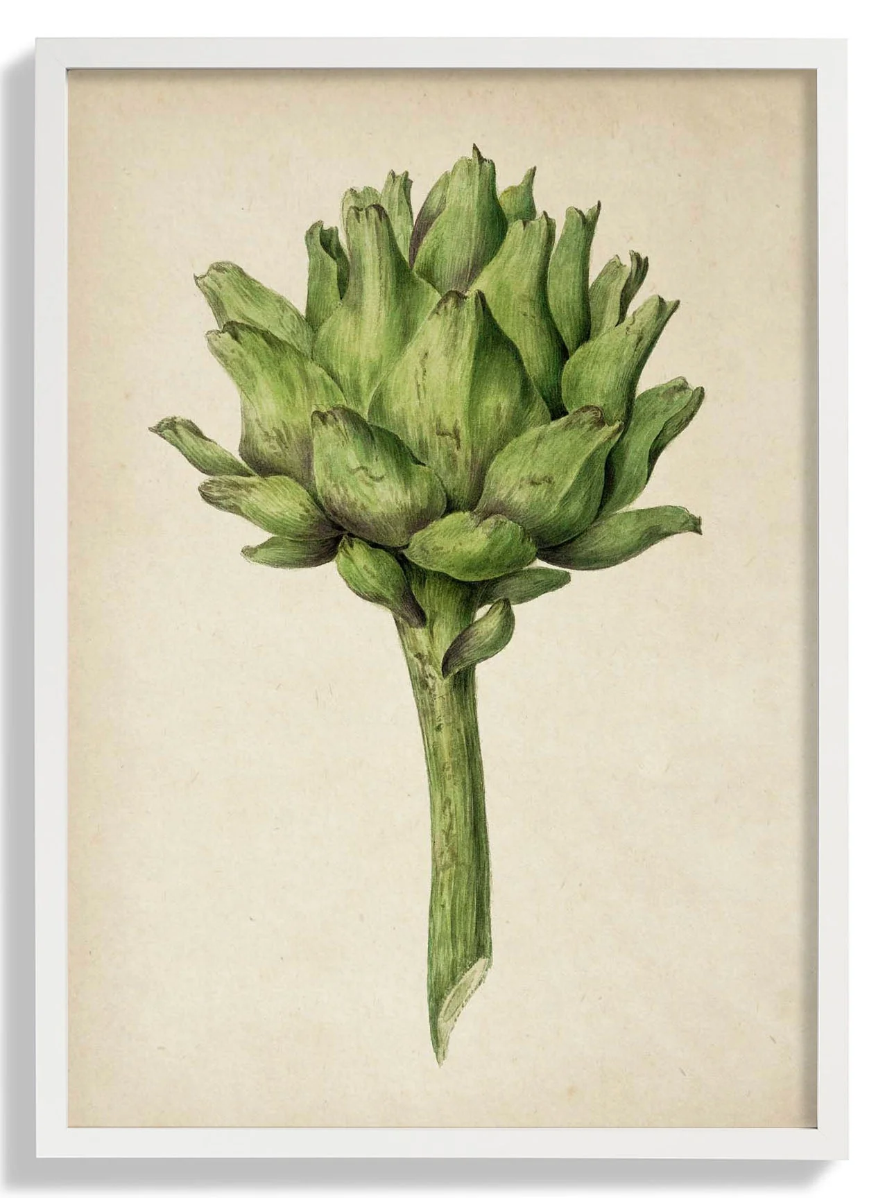 Antique Artichoke - Image 5