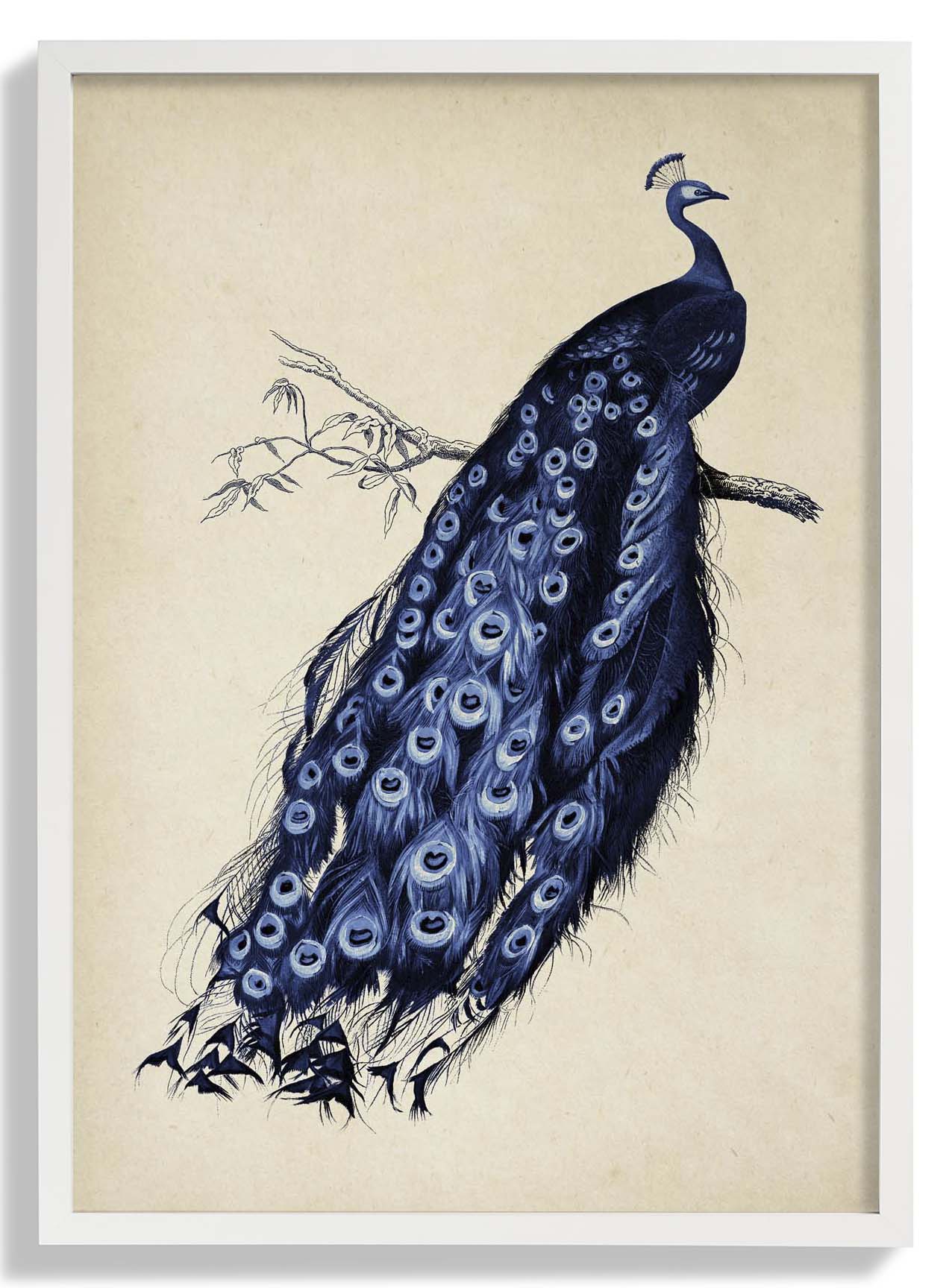 Antique Blue Peacock - Image 5