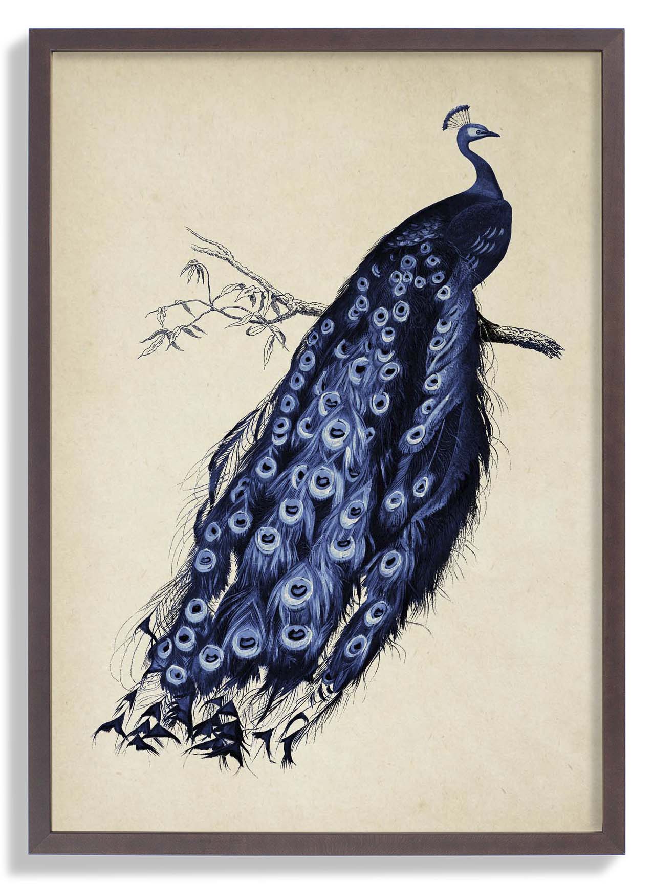Antique Blue Peacock - Image 7