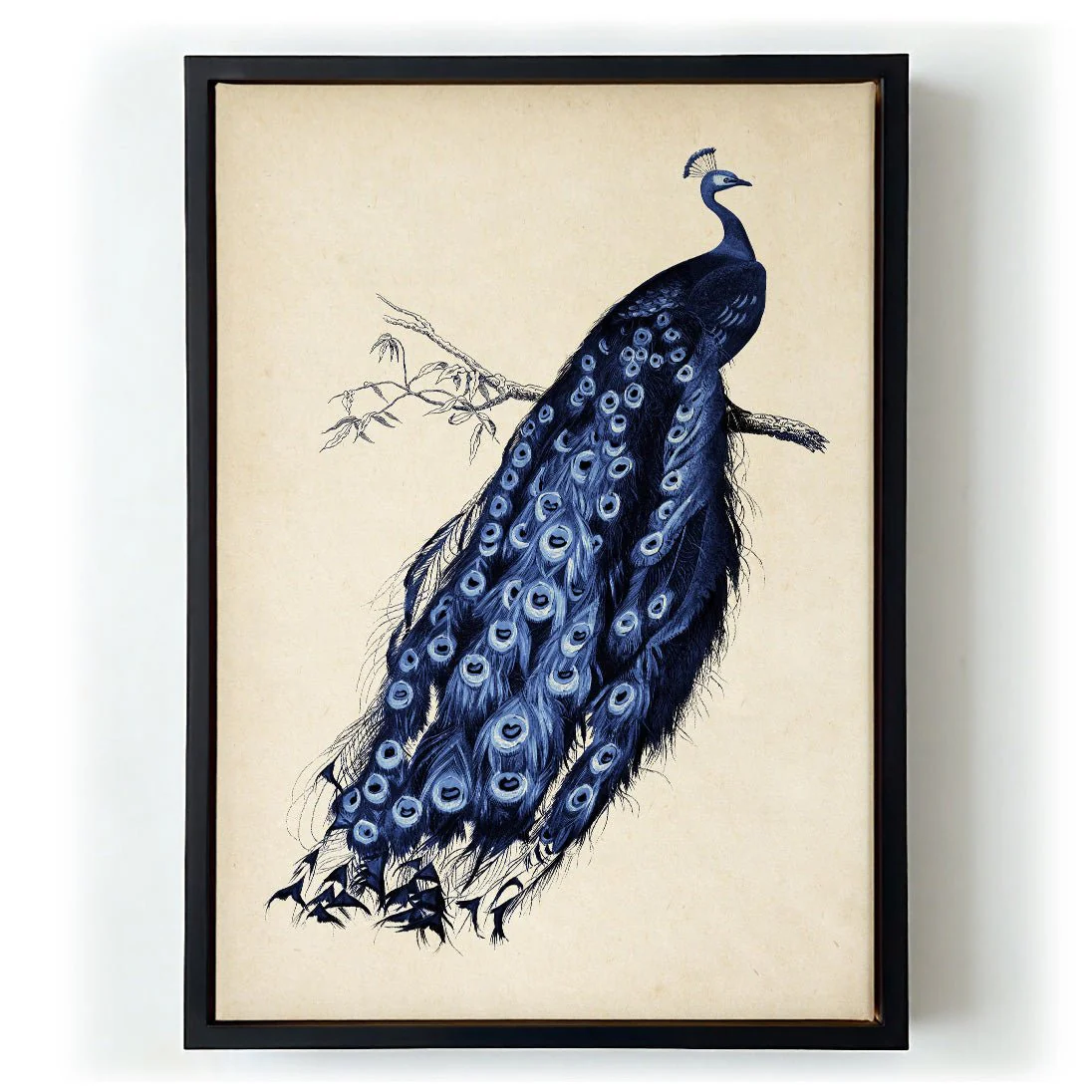 Antique Blue Peacock - Image 5