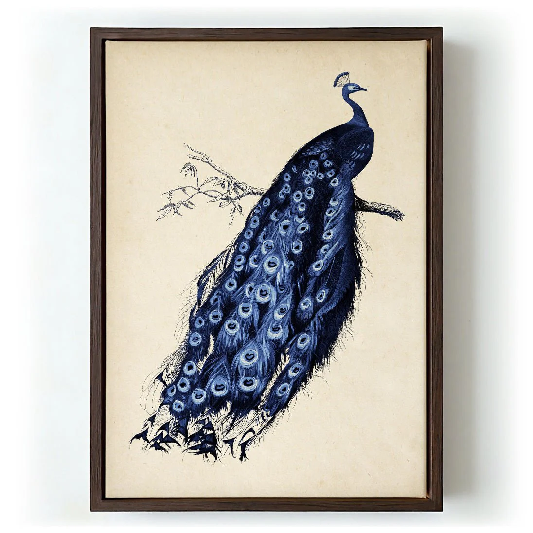 Antique Blue Peacock - Image 6