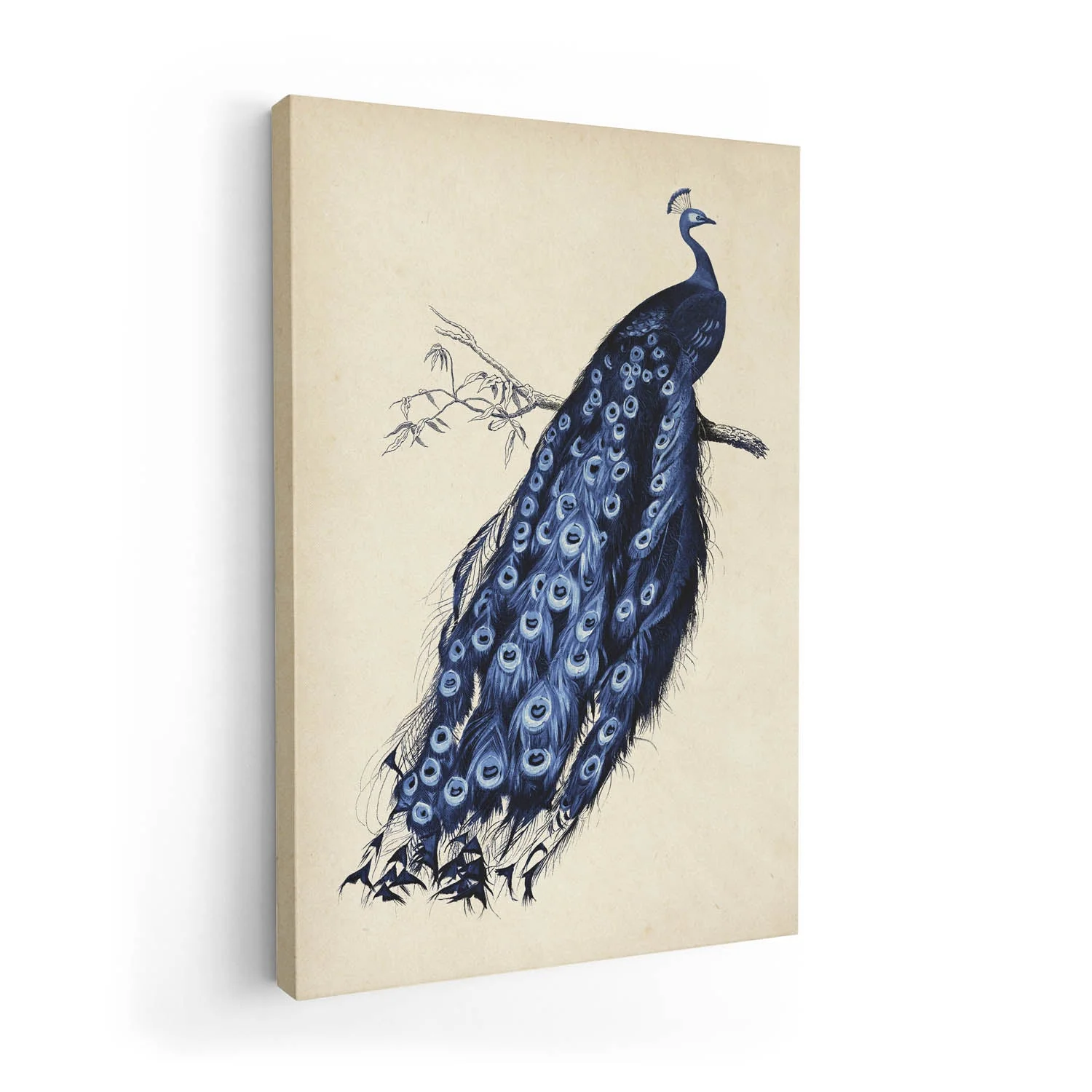 Antique Blue Peacock - Image 7