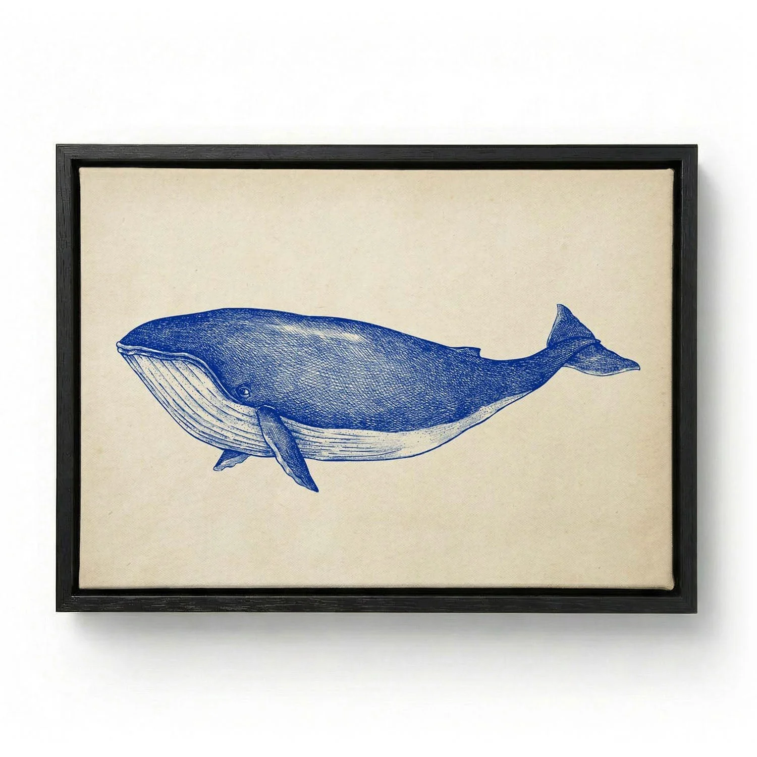 Antique Blue Whale - Image 5