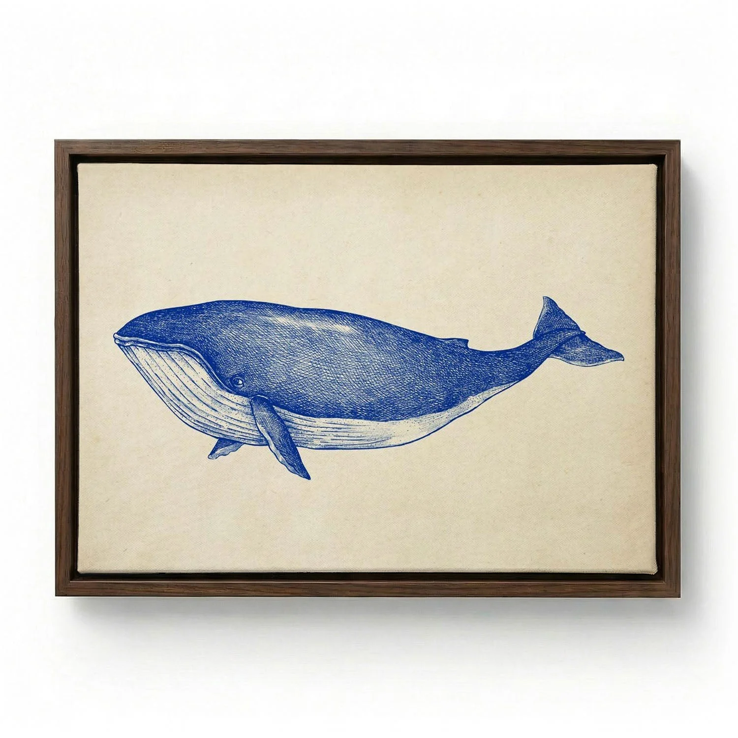 Antique Blue Whale - Image 6
