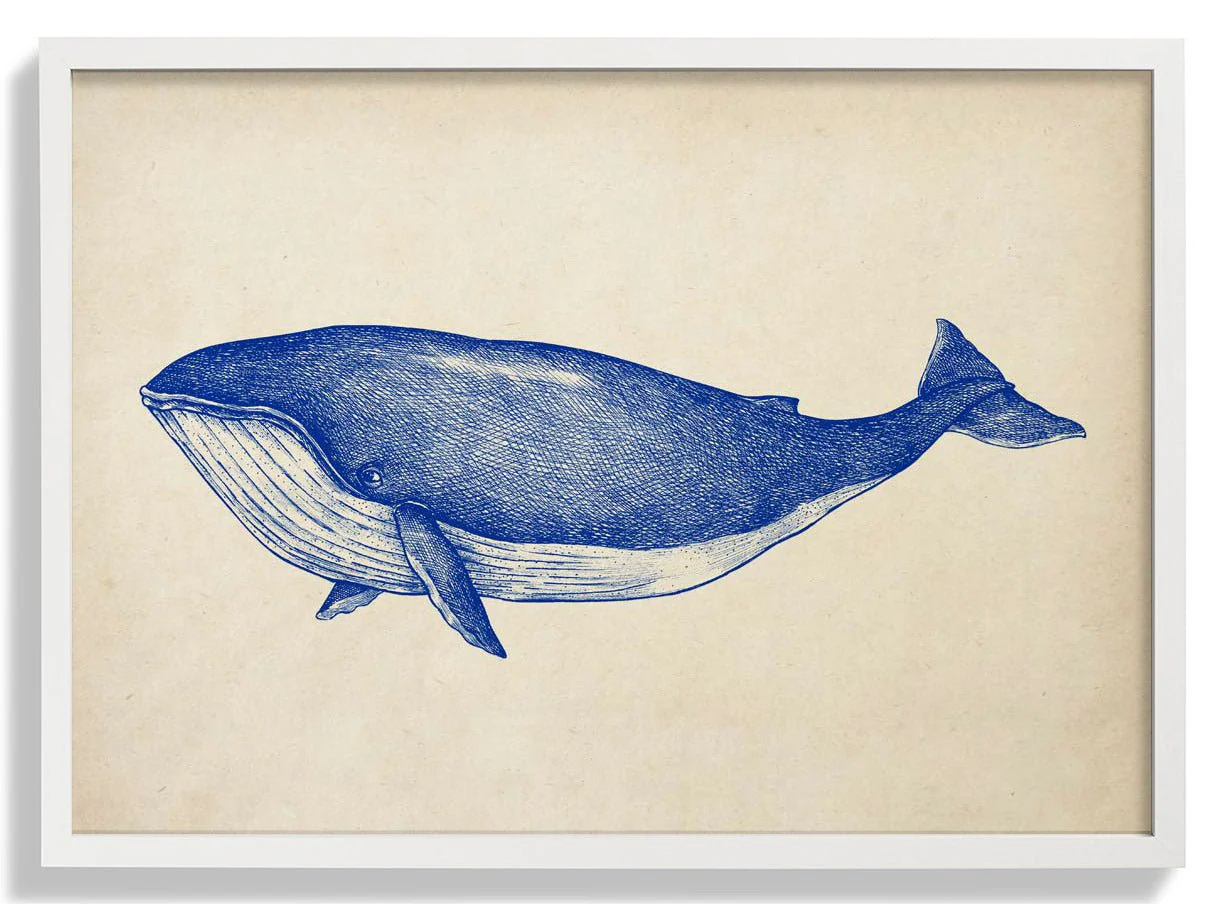 Antique Blue Whale - Image 5