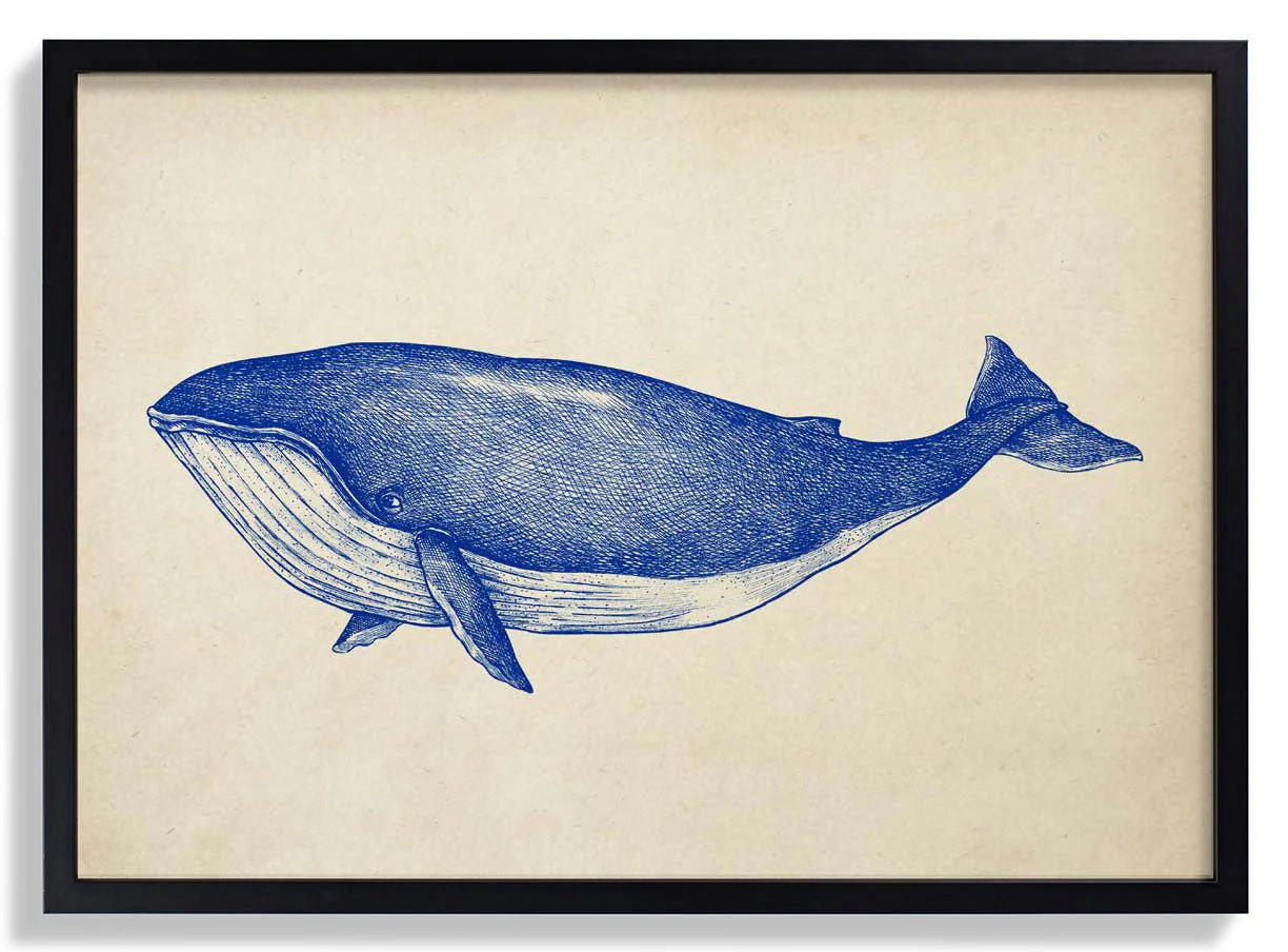 Antique Blue Whale - Image 6