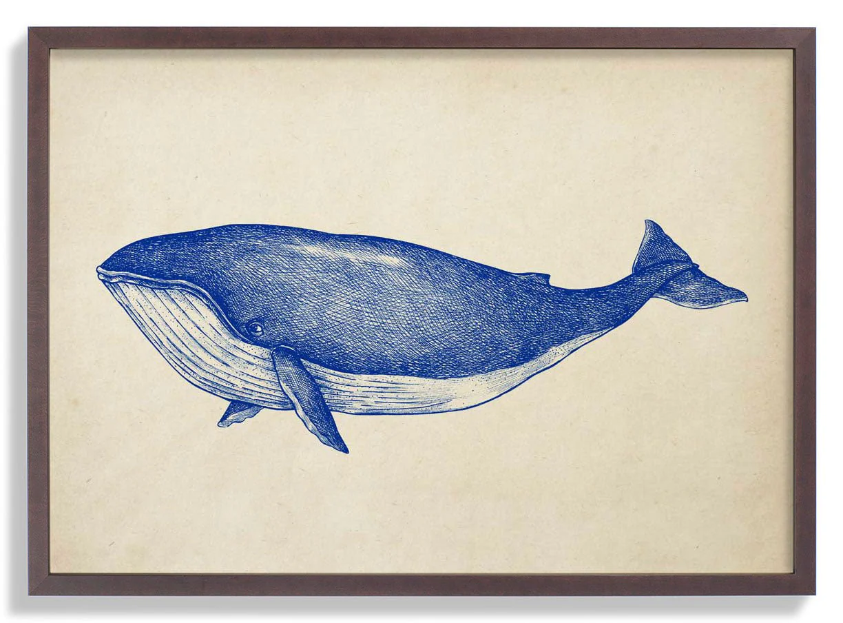 Antique Blue Whale - Image 7