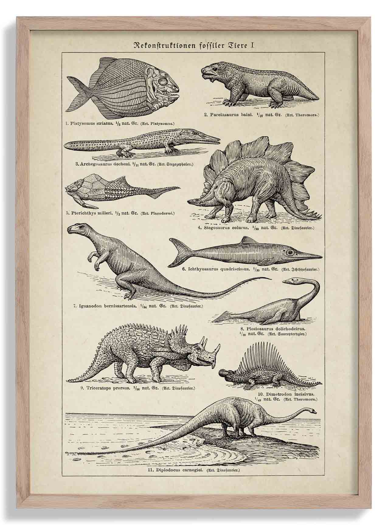 Antique Dinosaurs and Fossils