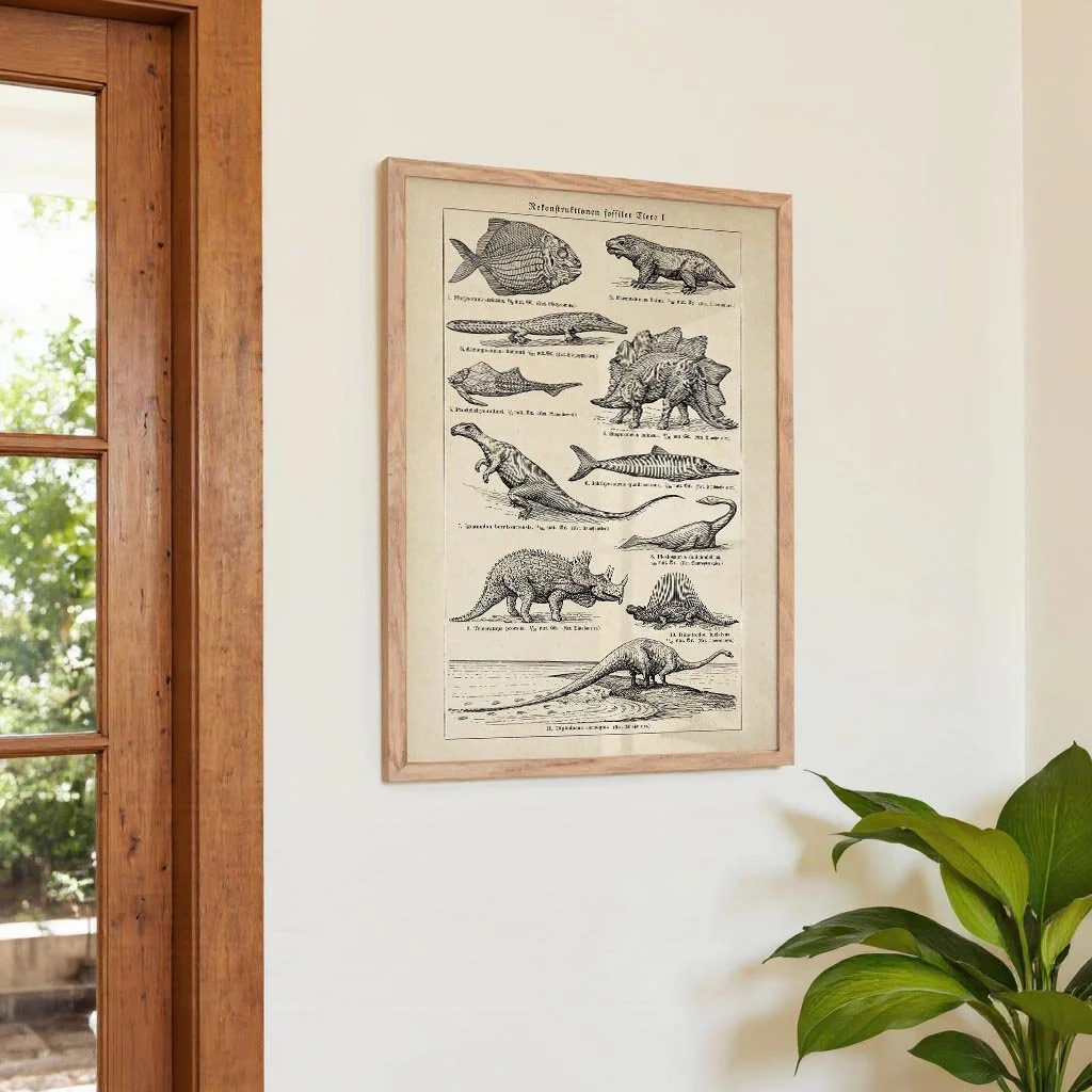 Antique Dinosaurs and Fossils - Image 4