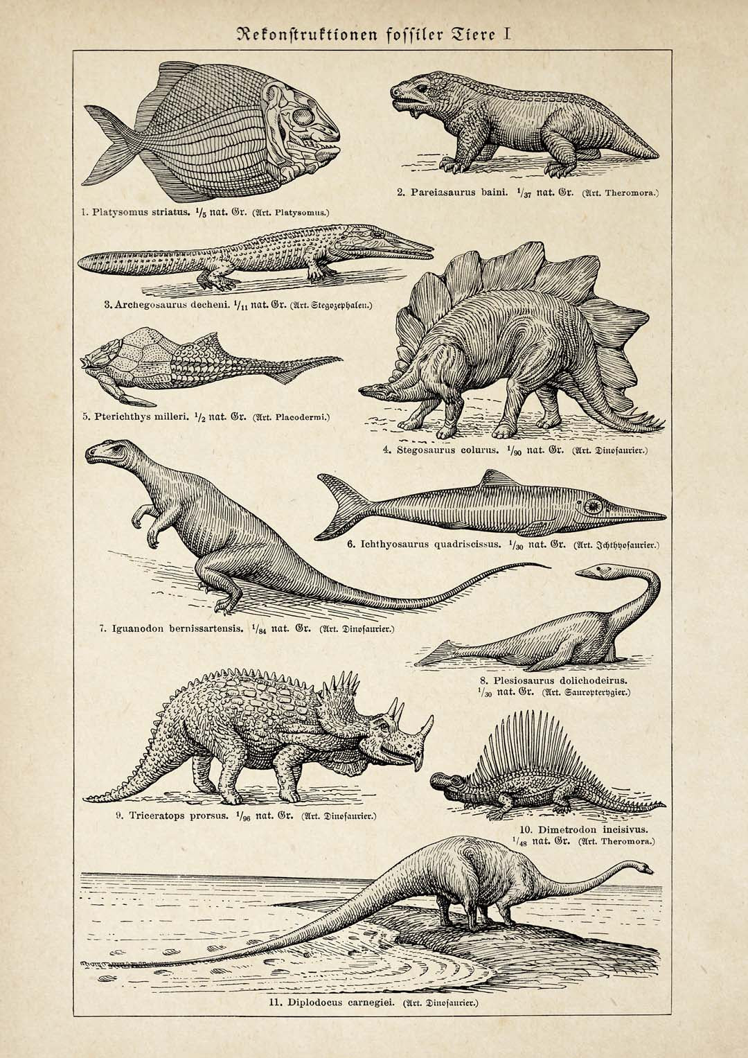 Antique Dinosaurs and Fossils - Image 8