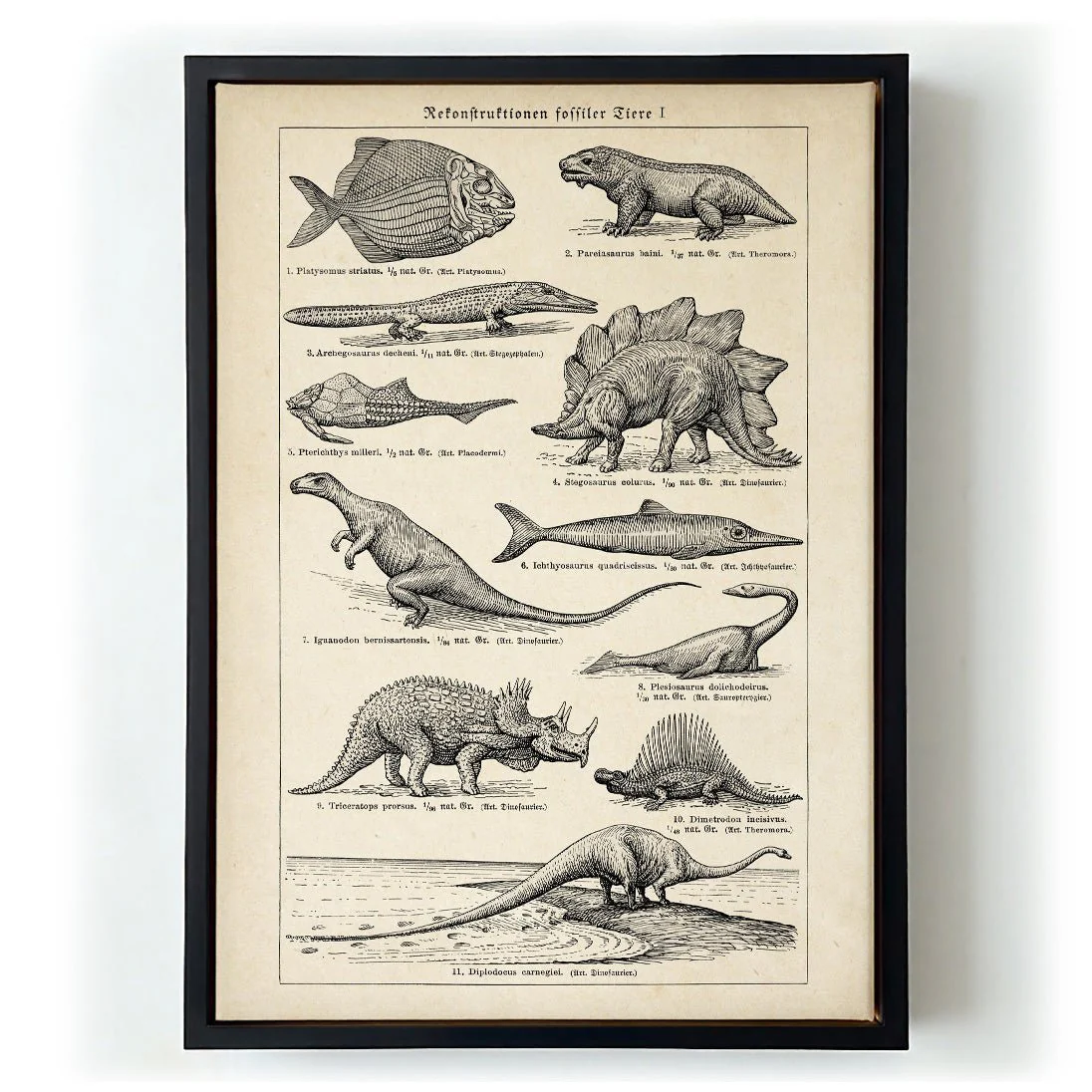 Antique Dinosaurs and Fossils - Image 5