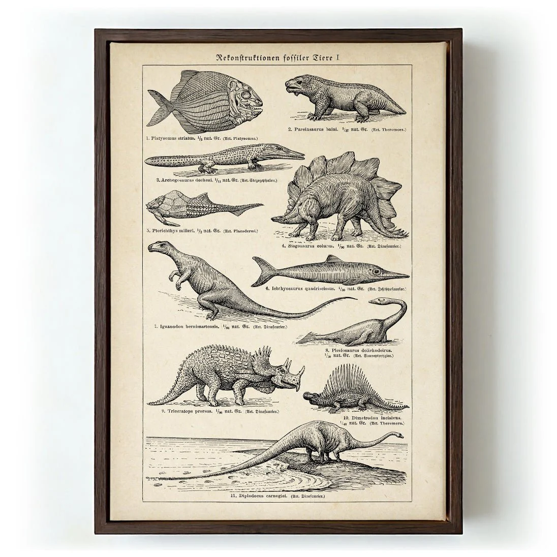 Antique Dinosaurs and Fossils - Image 6