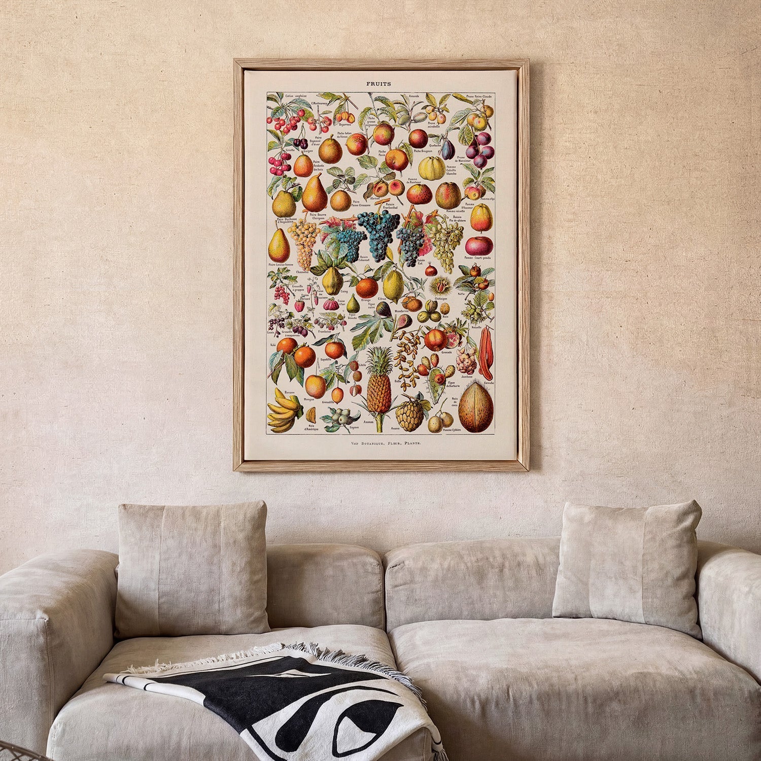 Antique Fruits by Adolphe Millot - Image 2