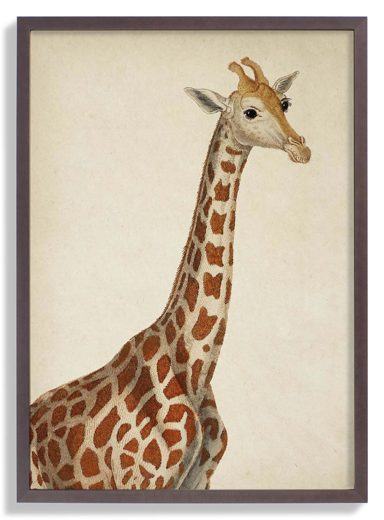 Antique Giraffe - Image 7
