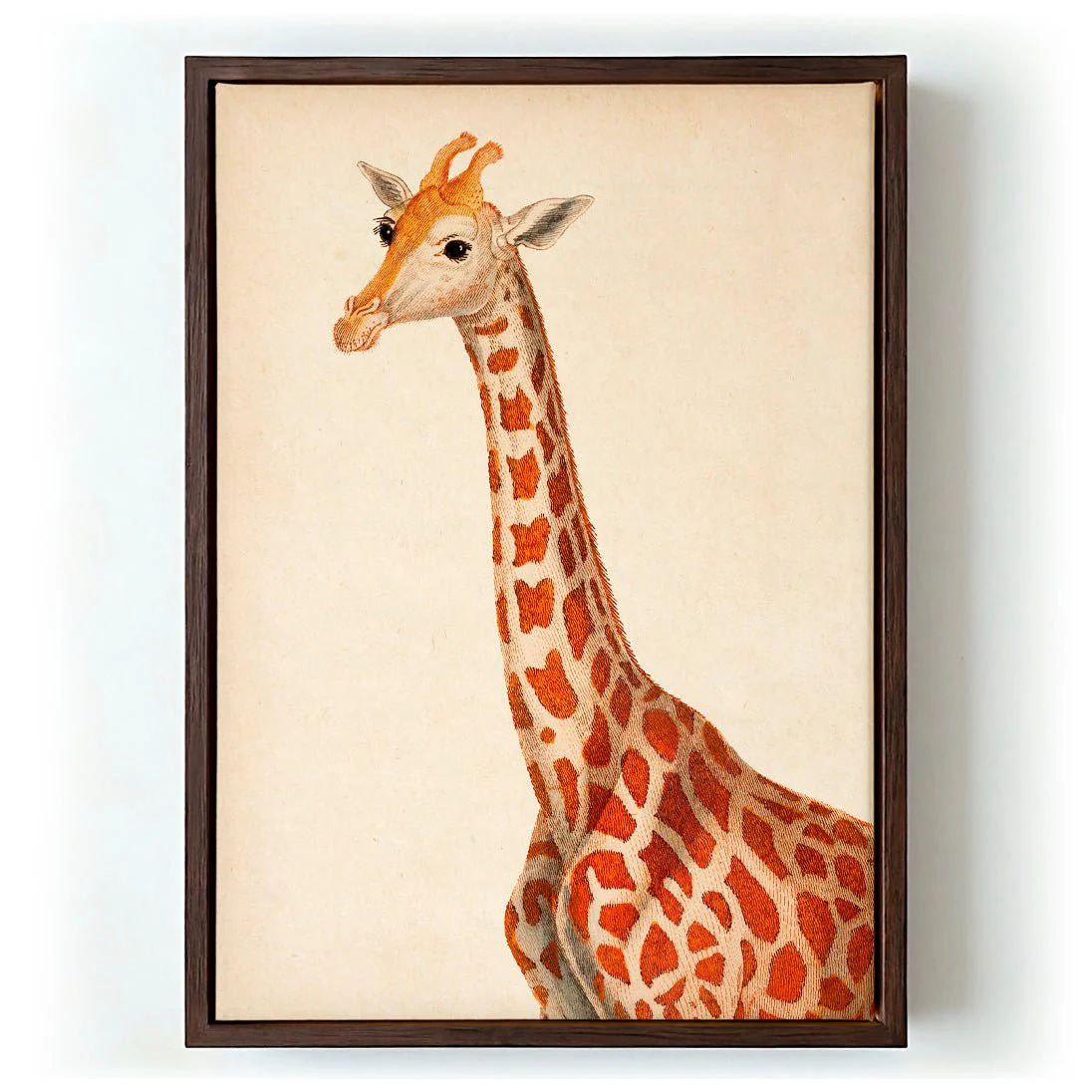 Antique Giraffe - Image 6