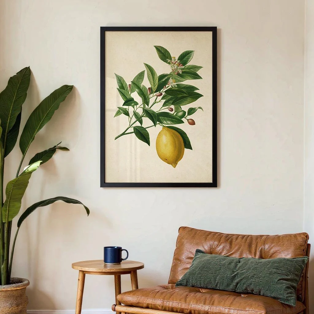 Antique Lemon - Image 3