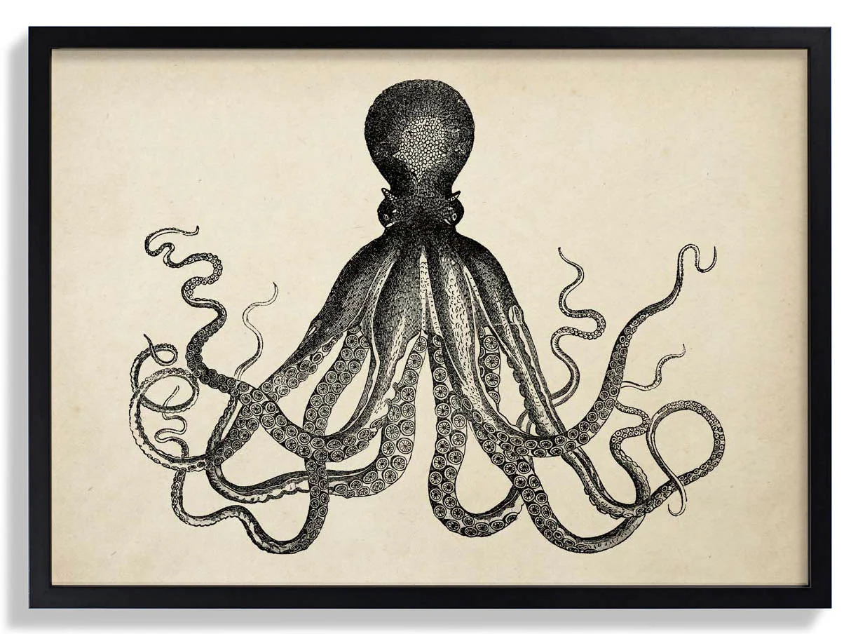 Antique Octopus IV - Image 4