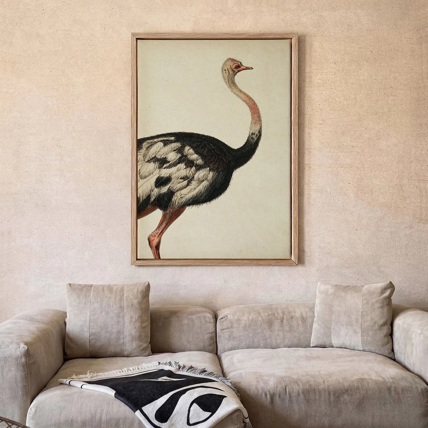 Antique Ostrich I - Image 2