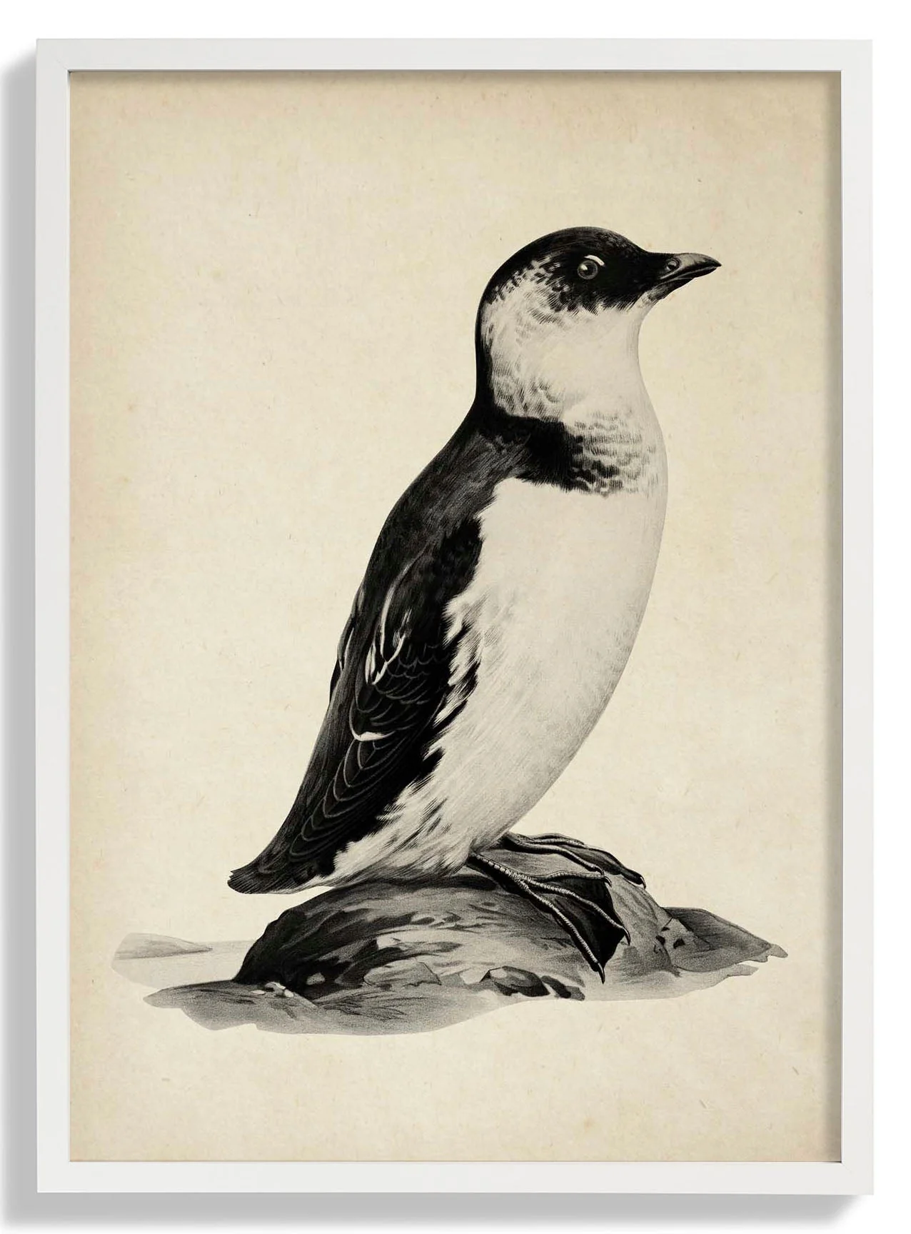Antique Penguin - Image 5