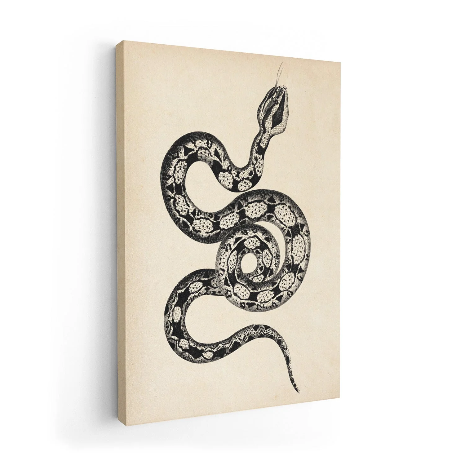 Antique Snake - Image 7