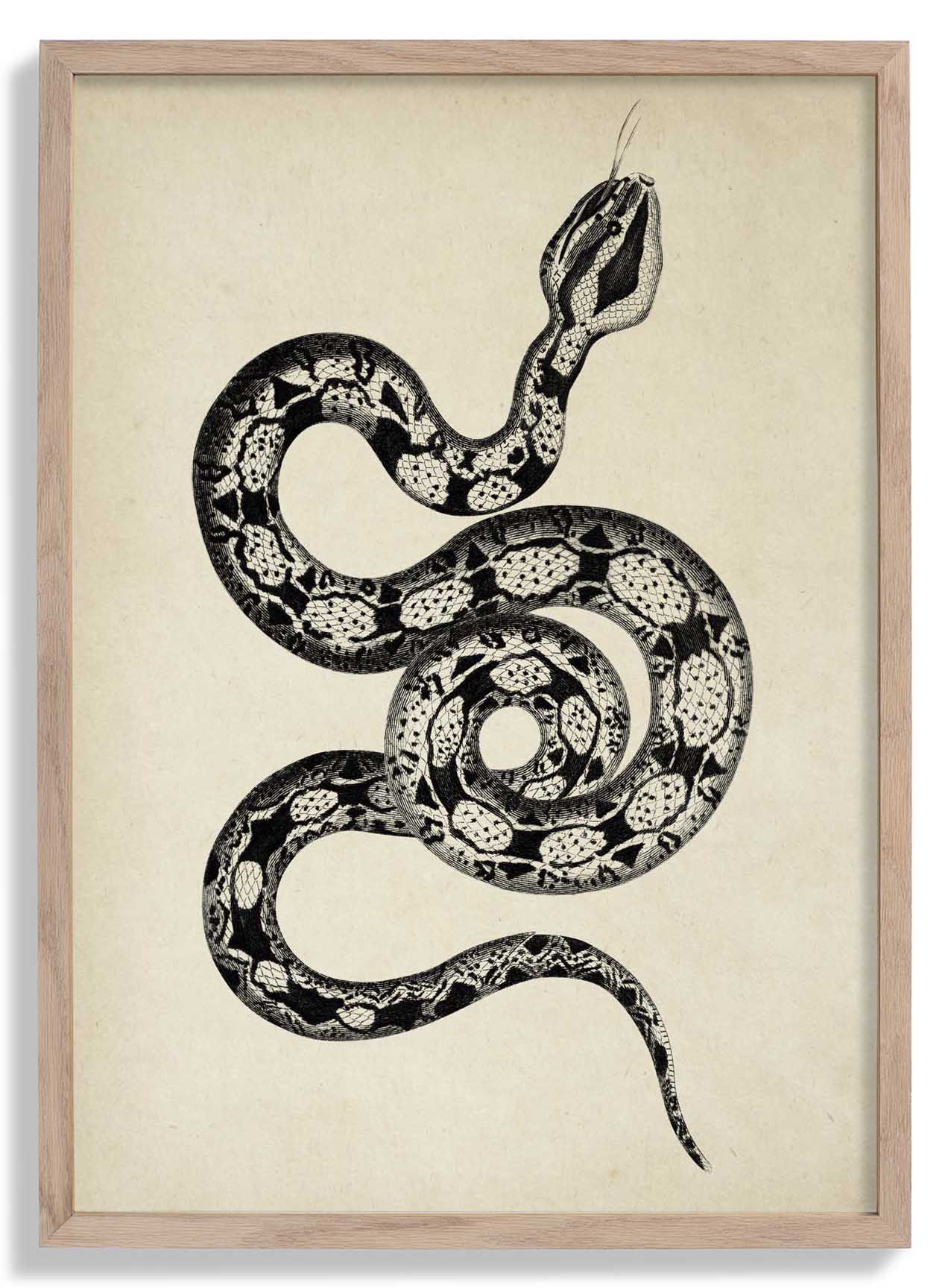 Antique Snake