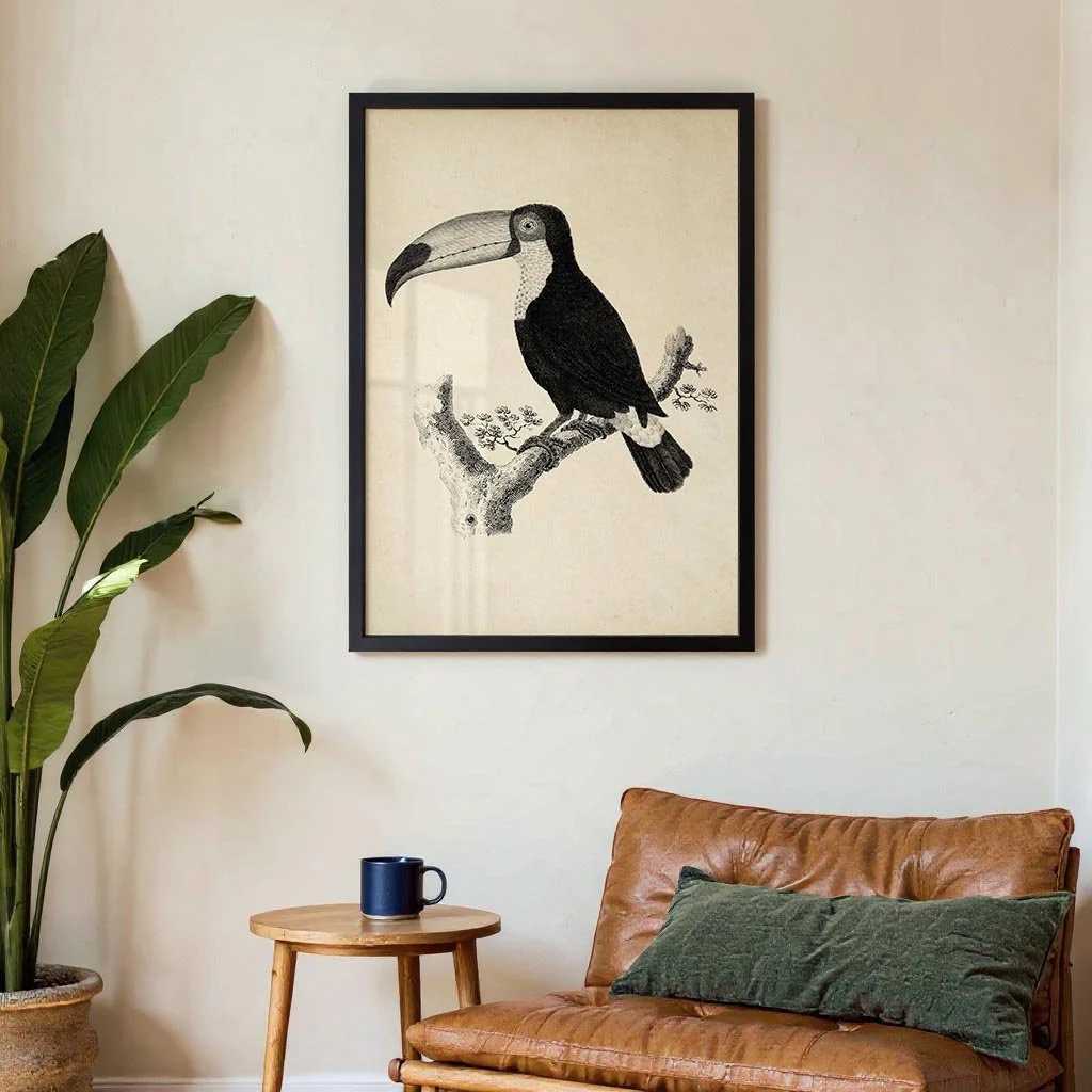 Antique Toucan - Image 3