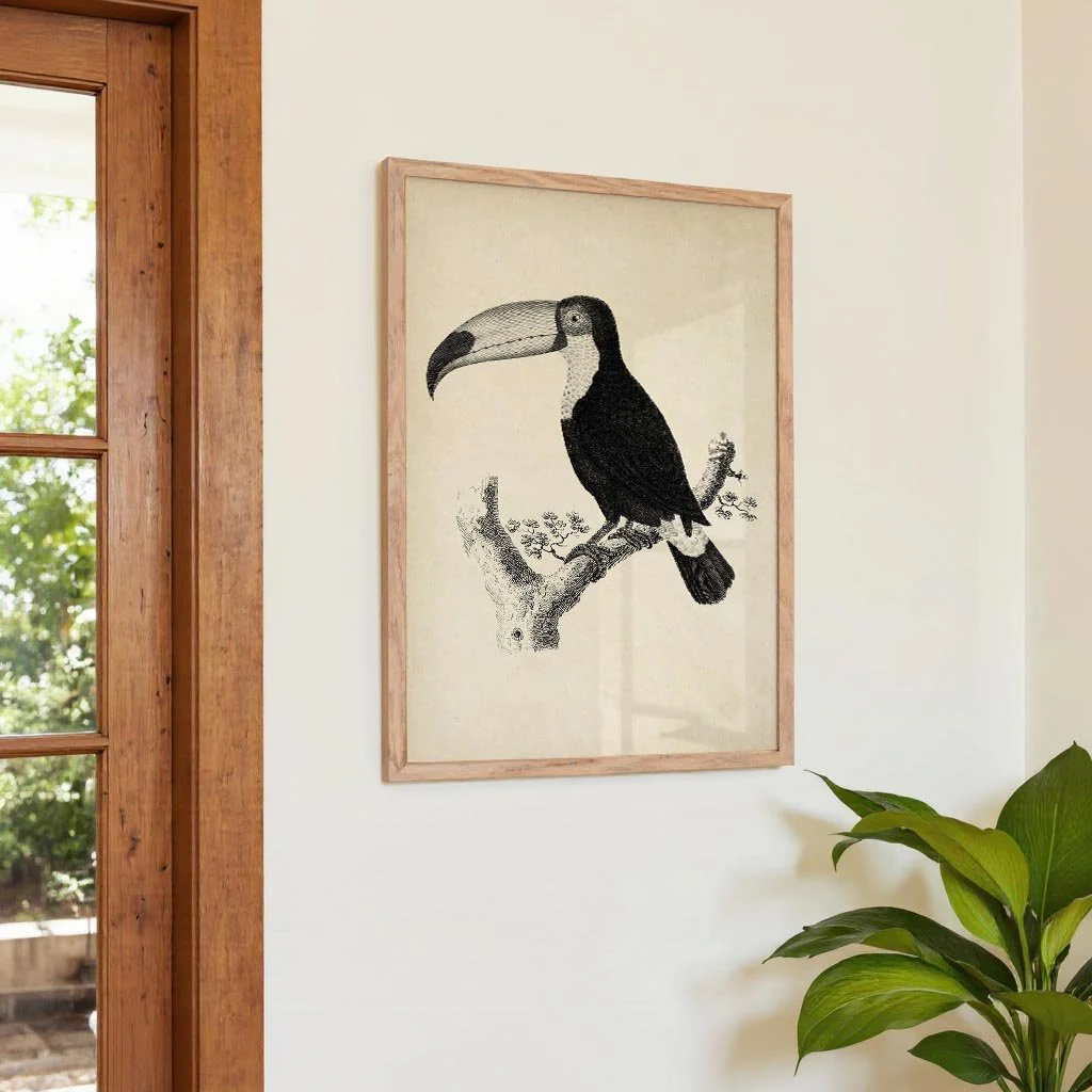 Antique Toucan - Image 4