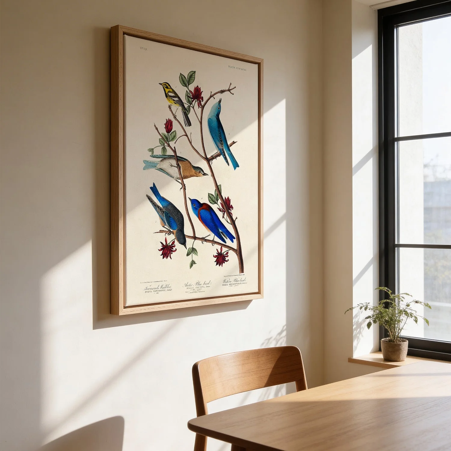 Artic and Western Blu-Bird - Image 3