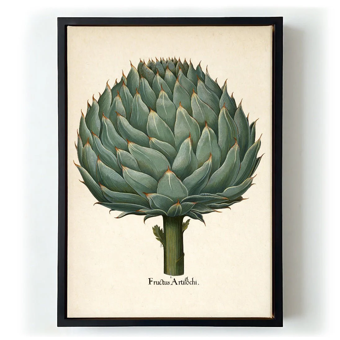 Artichoke - Image 5