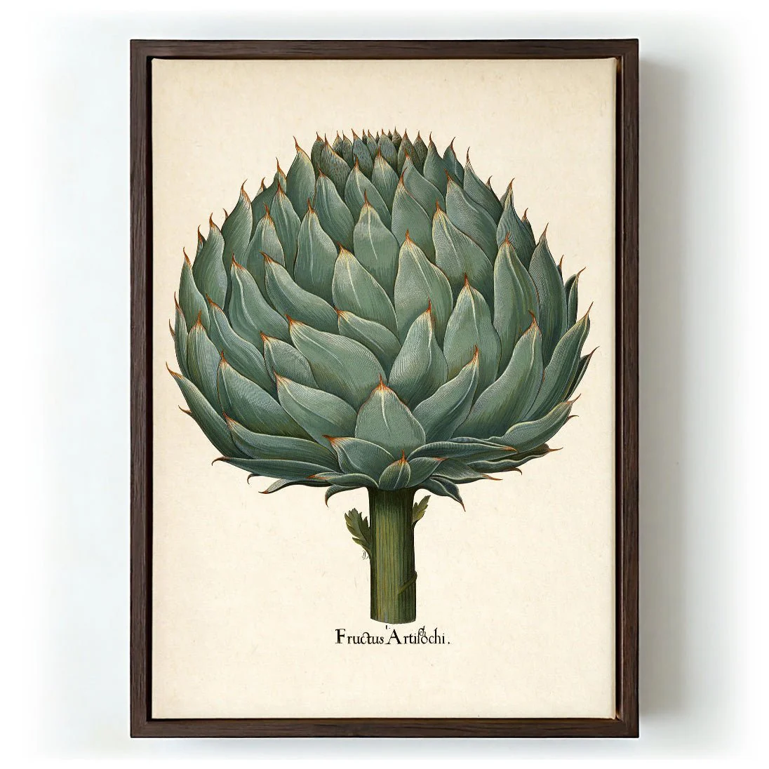 Artichoke - Image 6