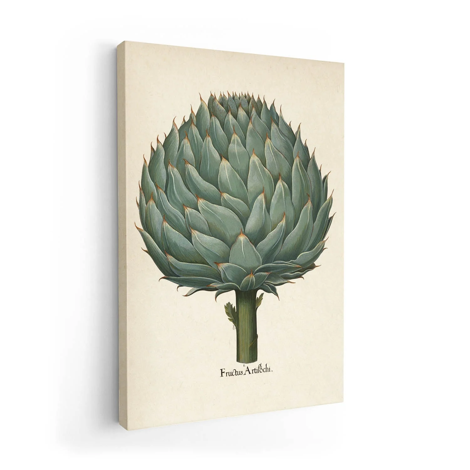 Artichoke - Image 7