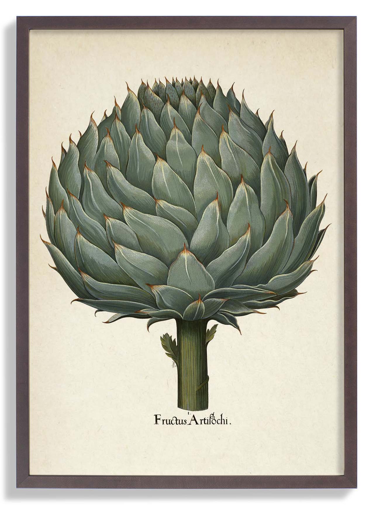 Artichoke - Image 7
