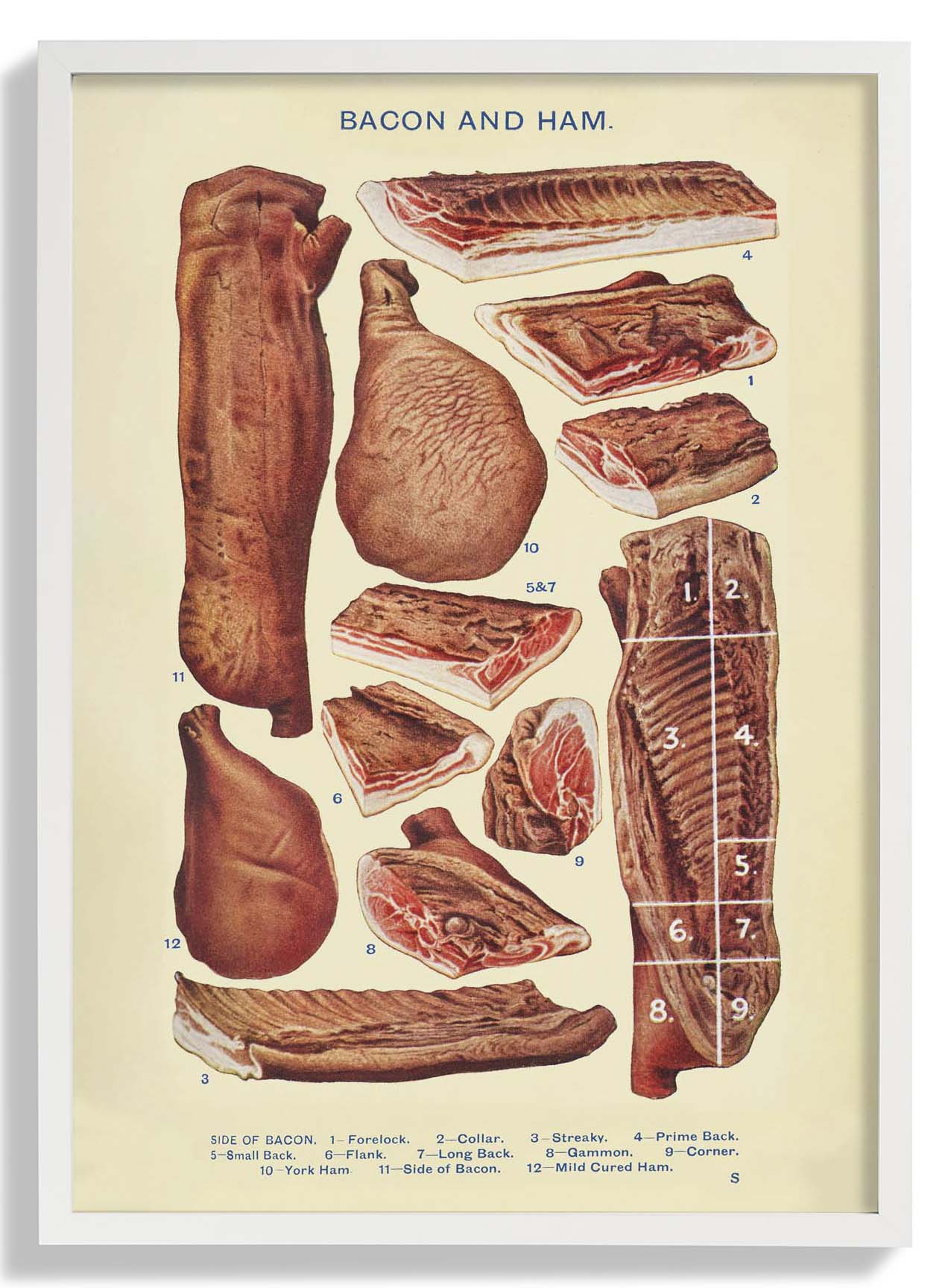 Bacon & Ham from Mrs. Beeton's Household Management - Image 5