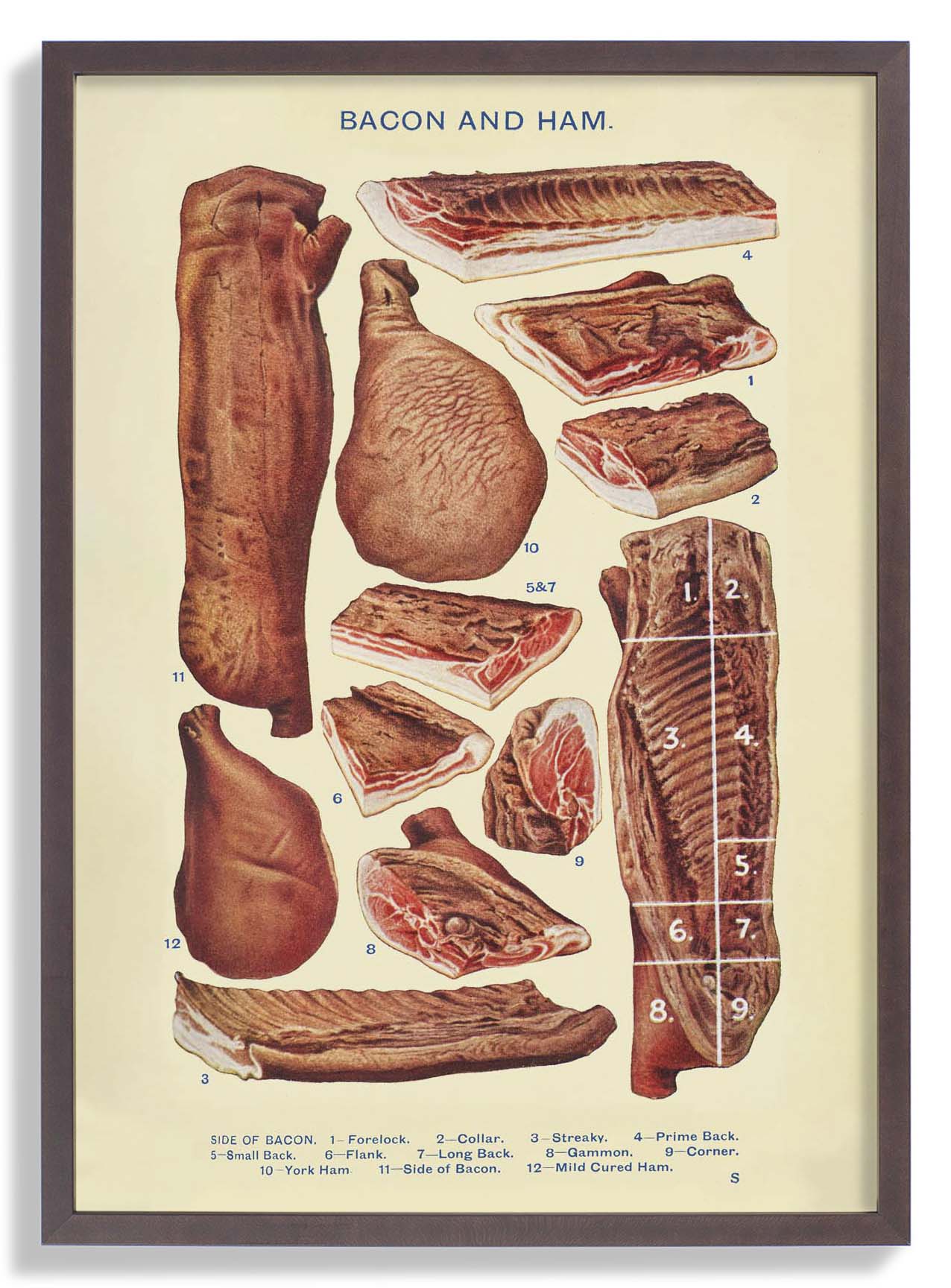 Bacon & Ham from Mrs. Beeton's Household Management - Image 7