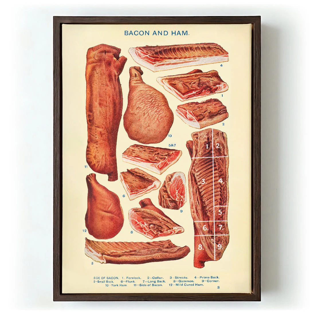 Bacon & Ham from Mrs. Beeton's Household Management - Image 5