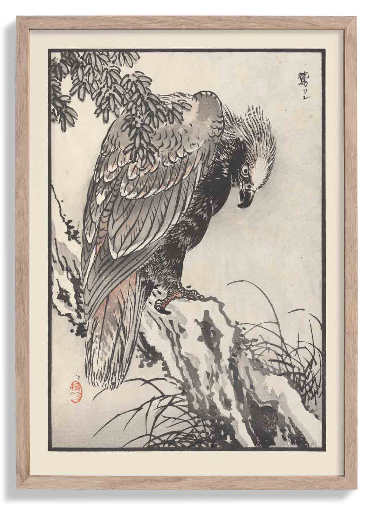 Bairei hyakucho gafu. Ten Pl.04 by Kono Bairei
