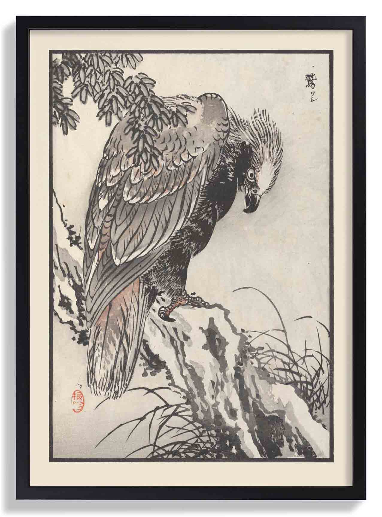 Bairei hyakucho gafu. Ten Pl.04 by Kono Bairei - Image 7
