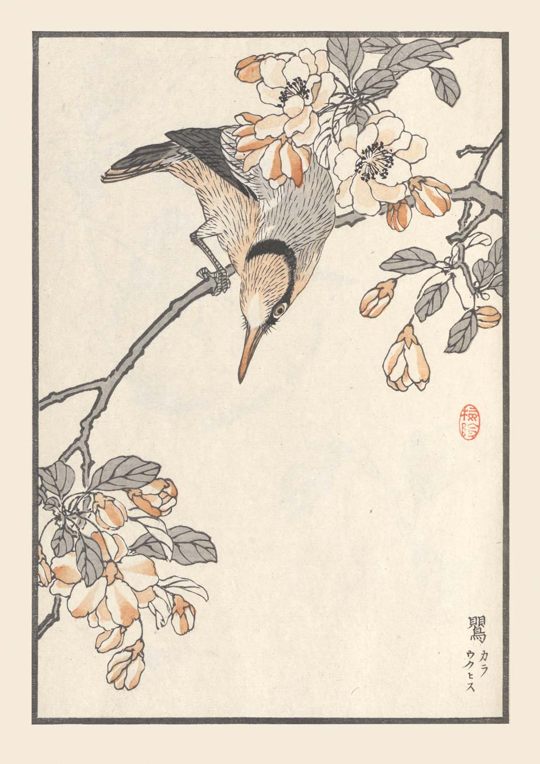 Bairei hyakucho gafu. Ten Pl.15 by Kono Bairei - Image 8