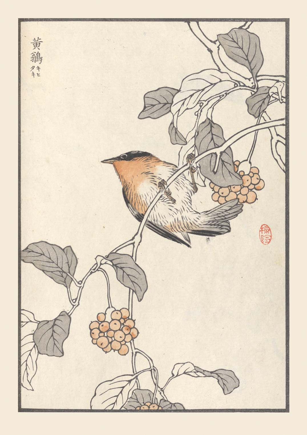 Bairei hyakucho gafu. Ten Pl.16 by Kono Bairei - Image 8