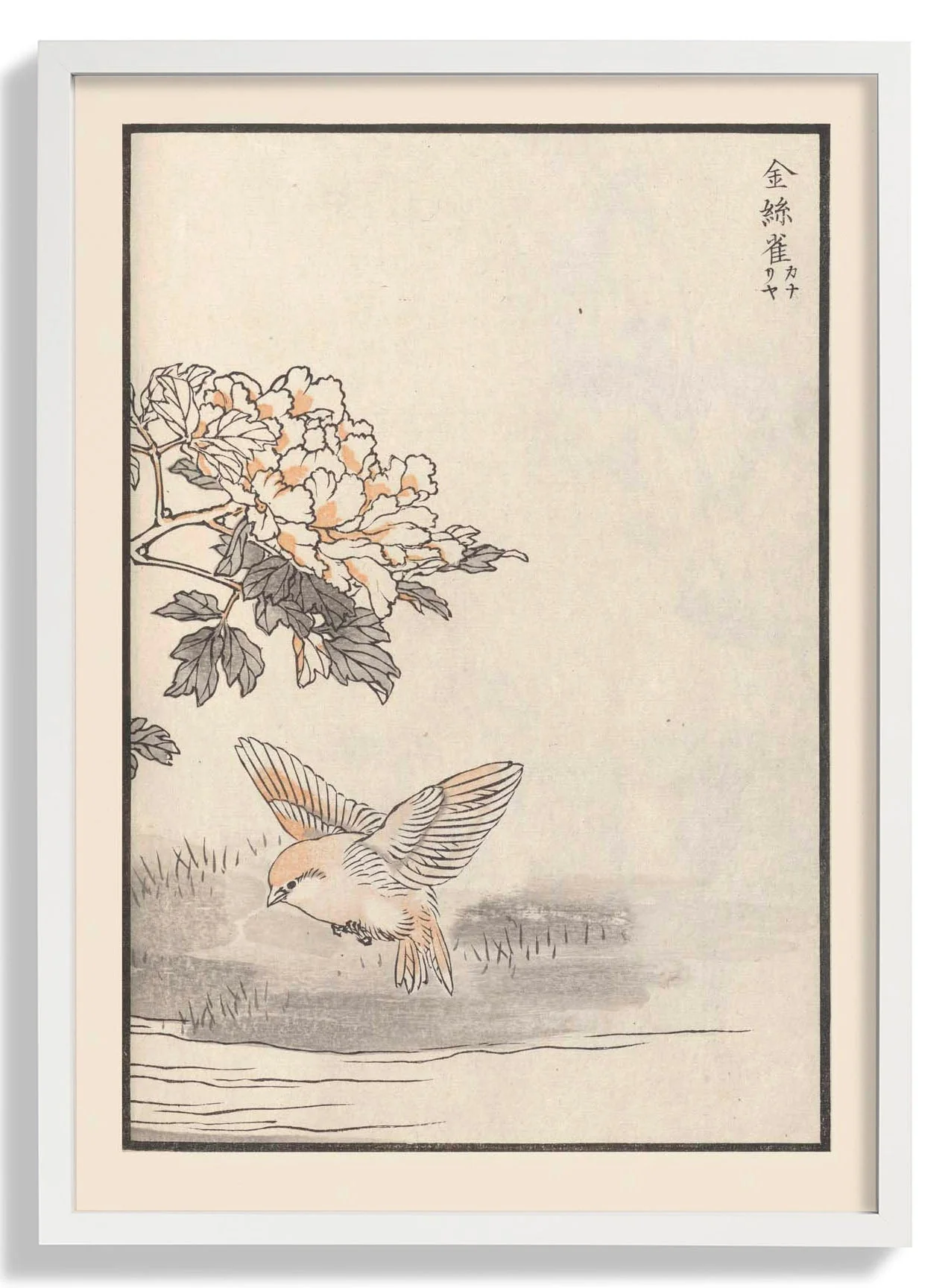 Bairei hyakucho gafu. Ten Pl.18 by Kono Bairei - Image 5