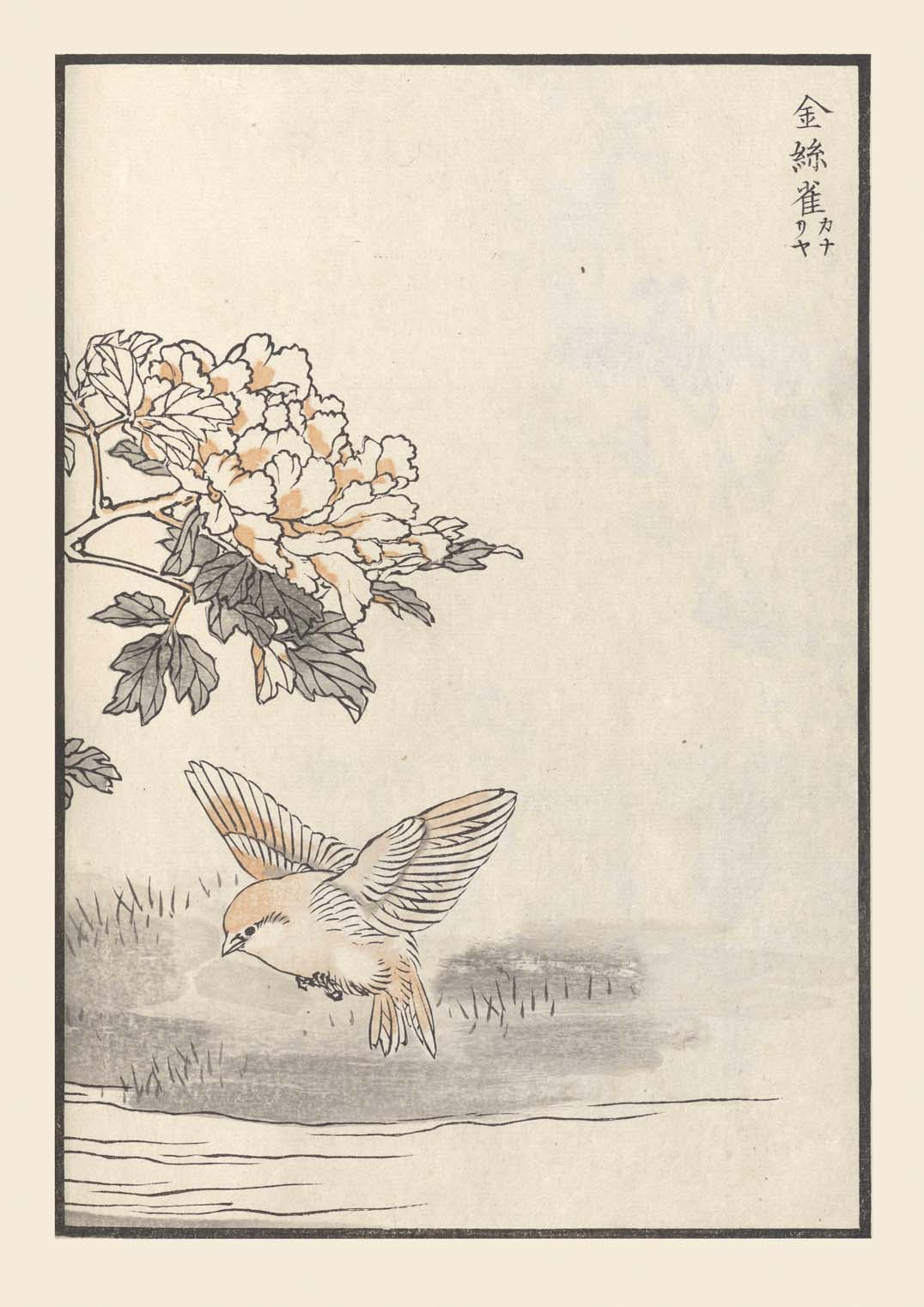 Bairei hyakucho gafu. Ten Pl.18 by Kono Bairei - Image 8