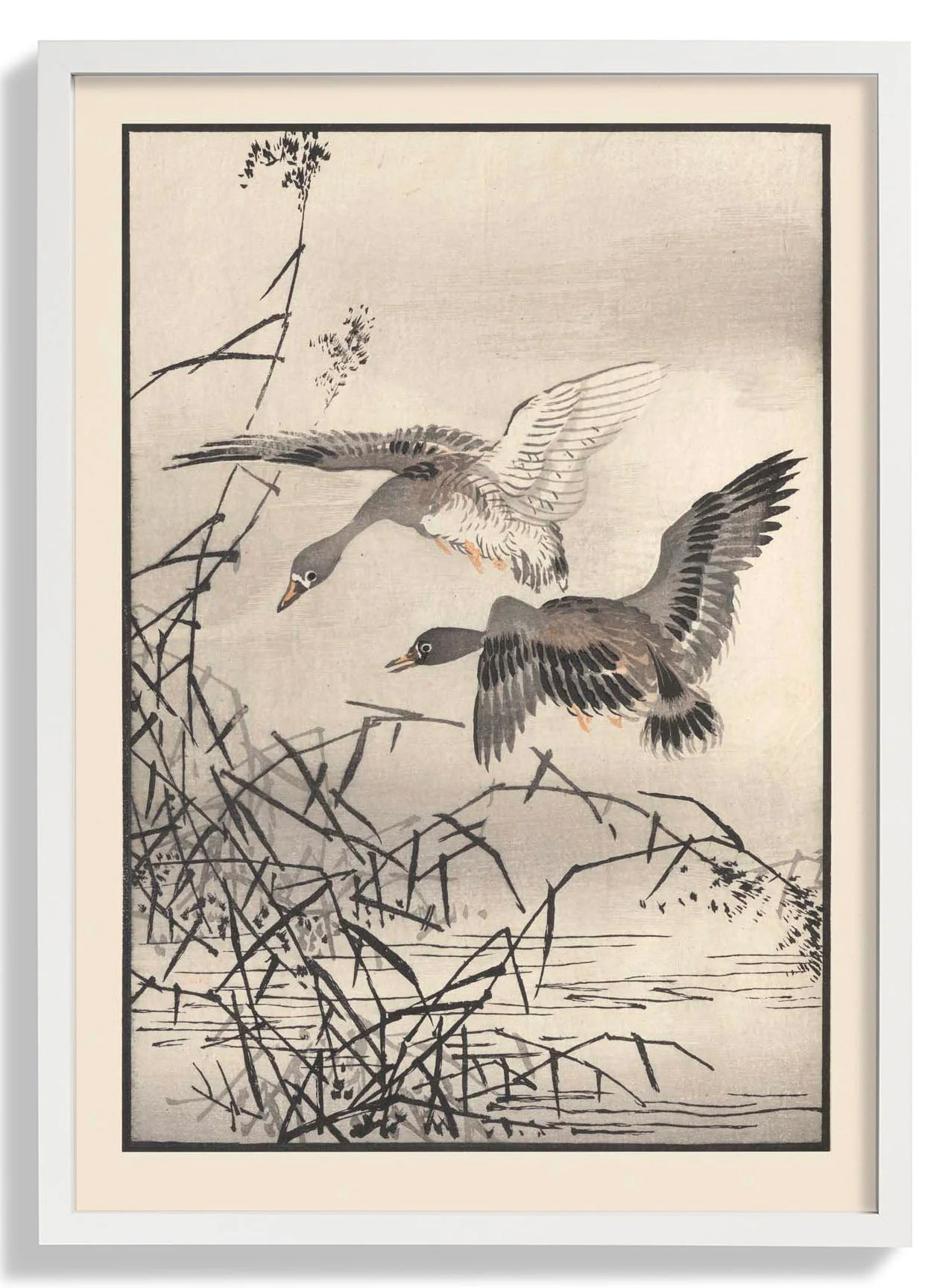 Bairei hyakucho gafu. Ten Pl.27 by Kono Bairei - Image 5