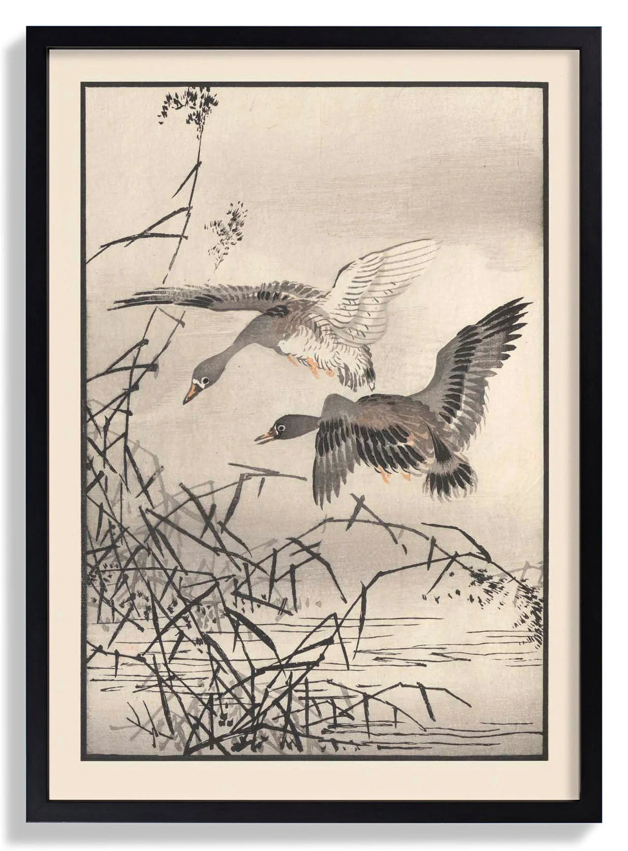 Bairei hyakucho gafu. Ten Pl.27 by Kono Bairei - Image 7