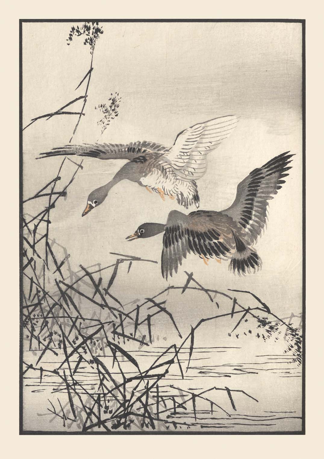 Bairei hyakucho gafu. Ten Pl.27 by Kono Bairei - Image 8